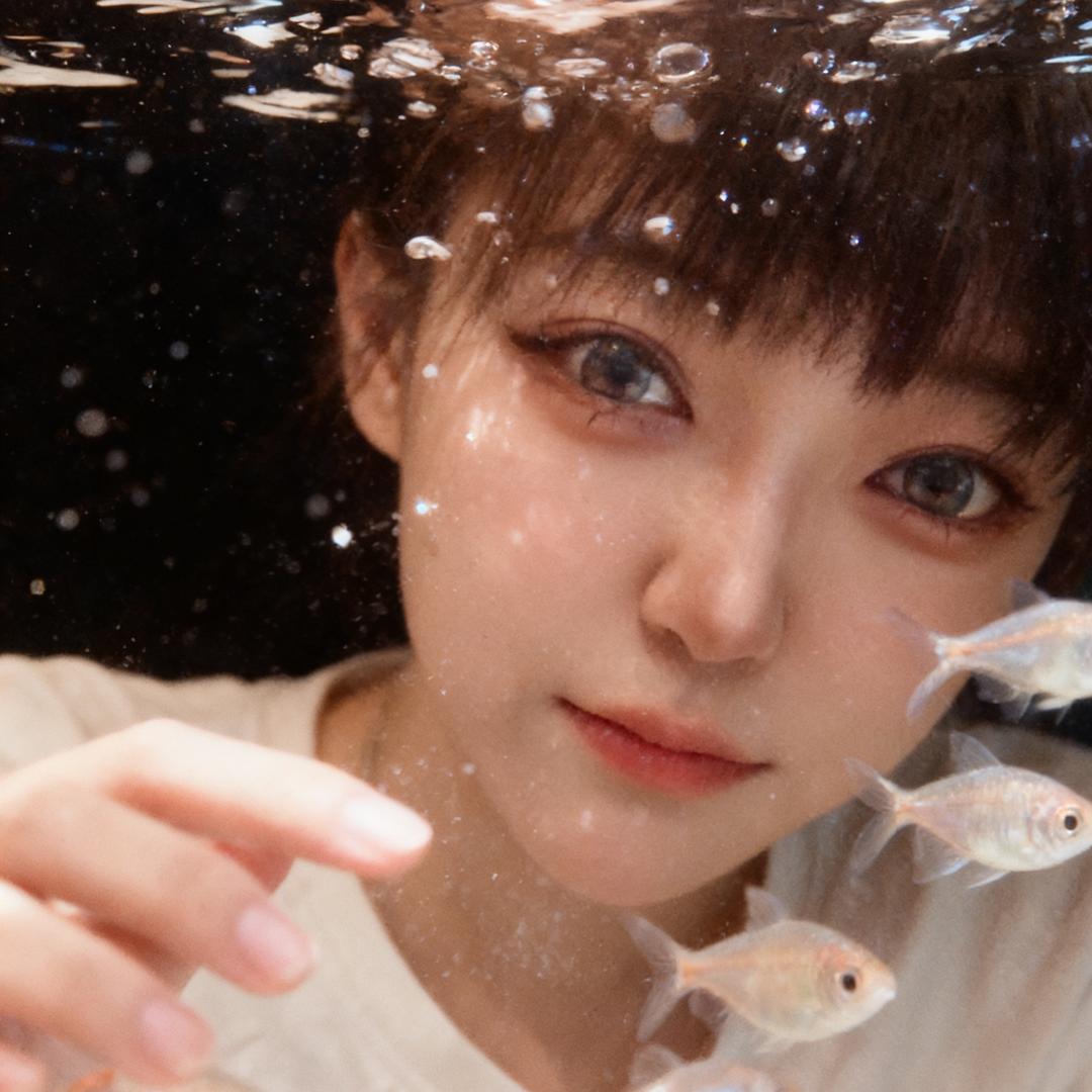 织一束月光🌙