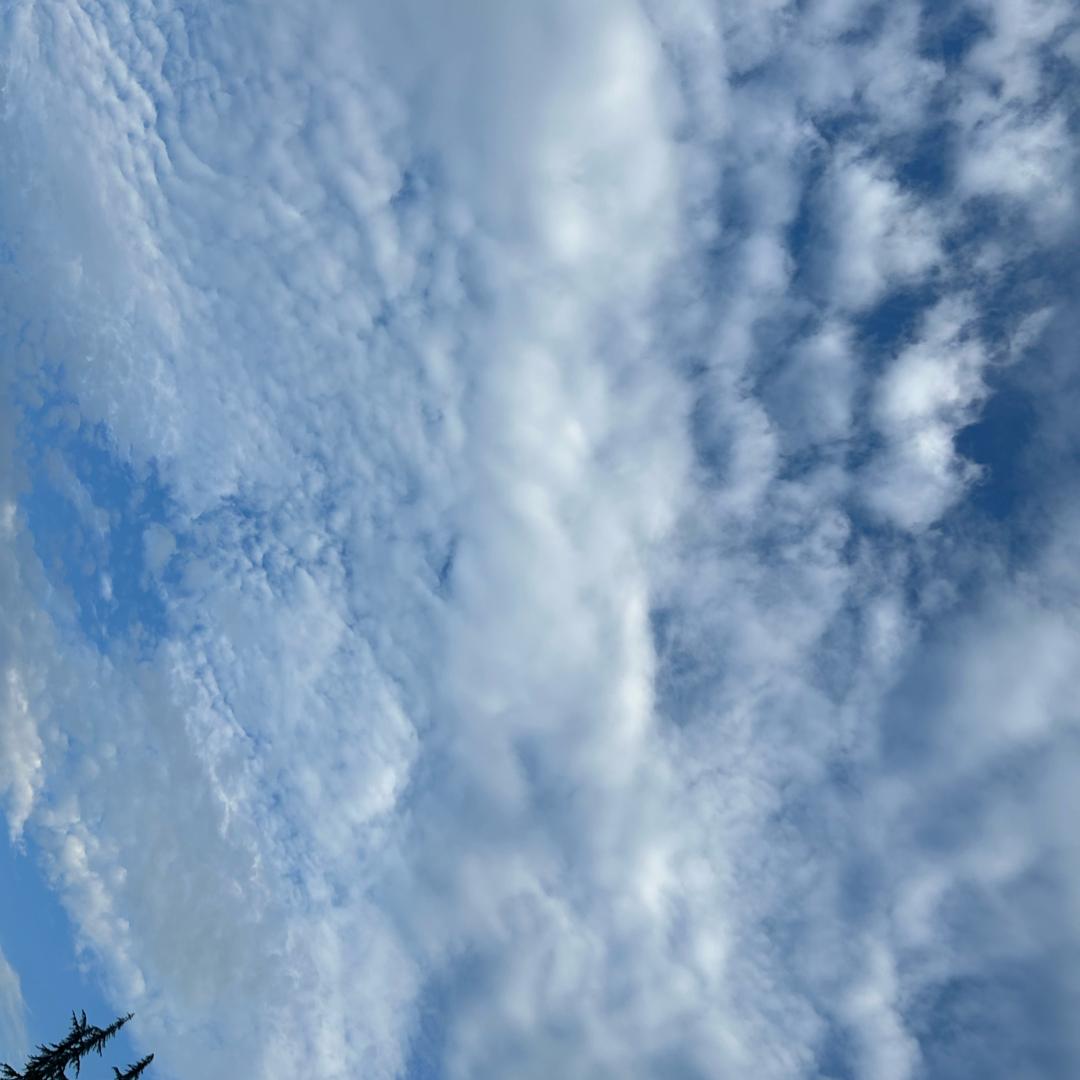 用户13567846542588