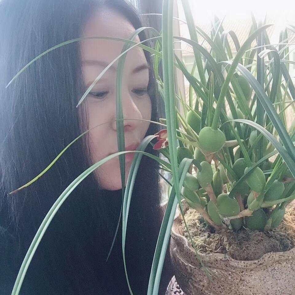 清月