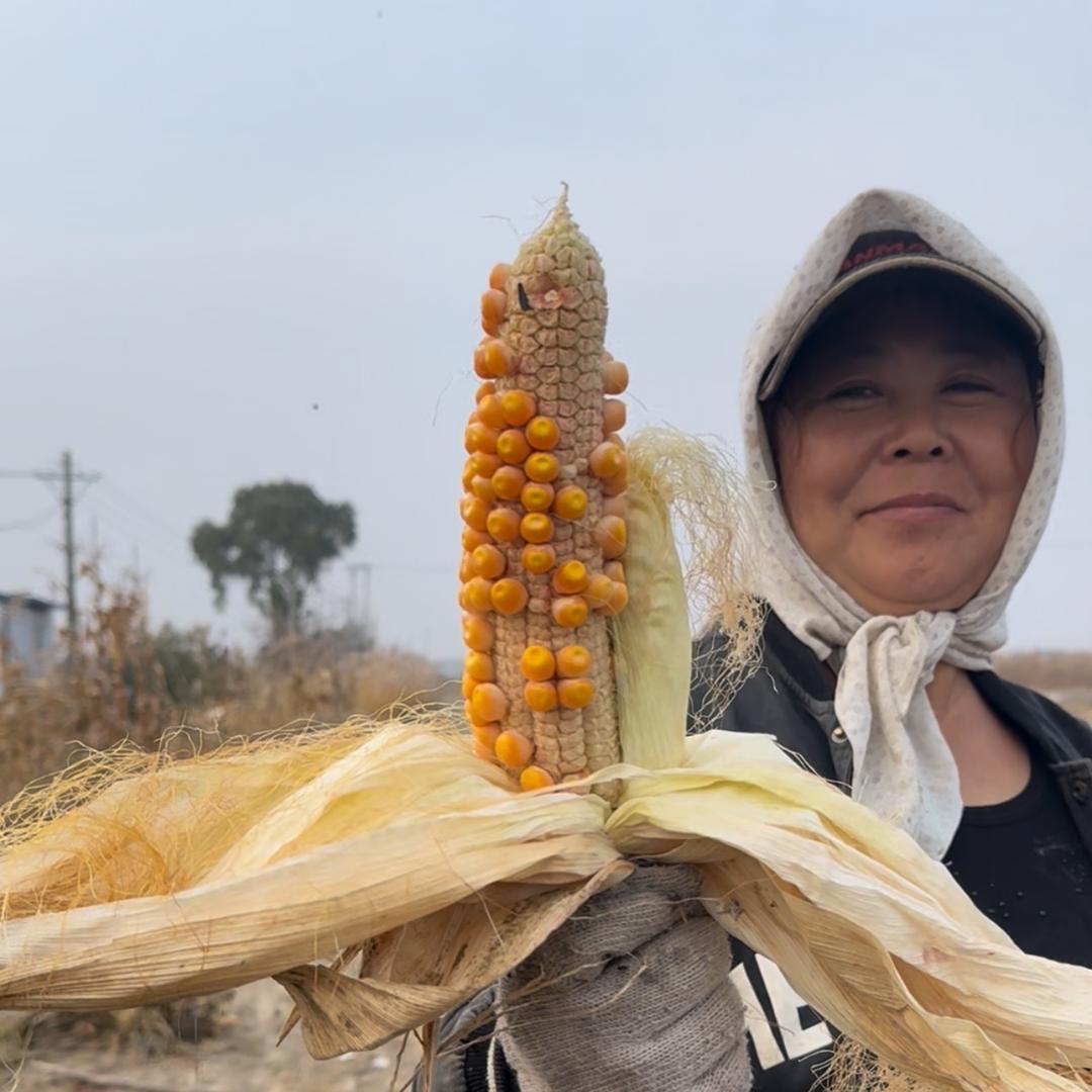 伍龙稻田河蟹农产精选店