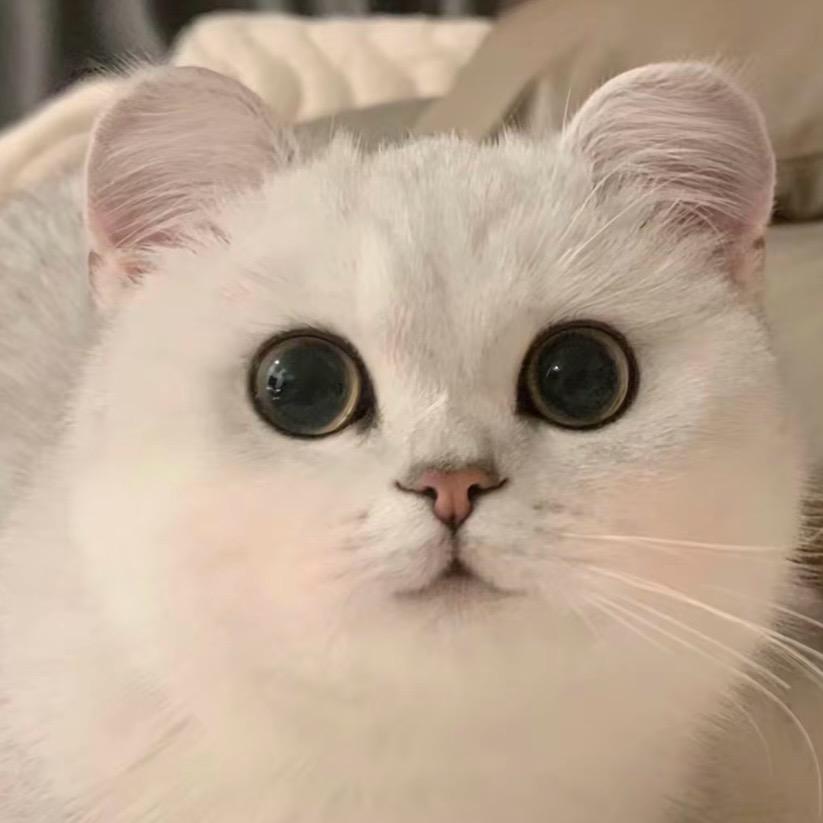 一笑