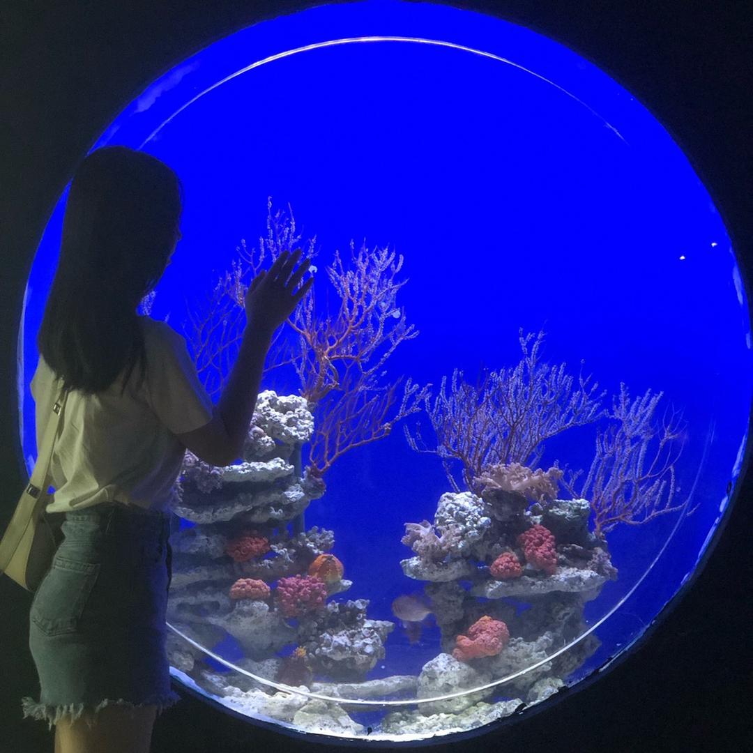 可爱的肥静静？