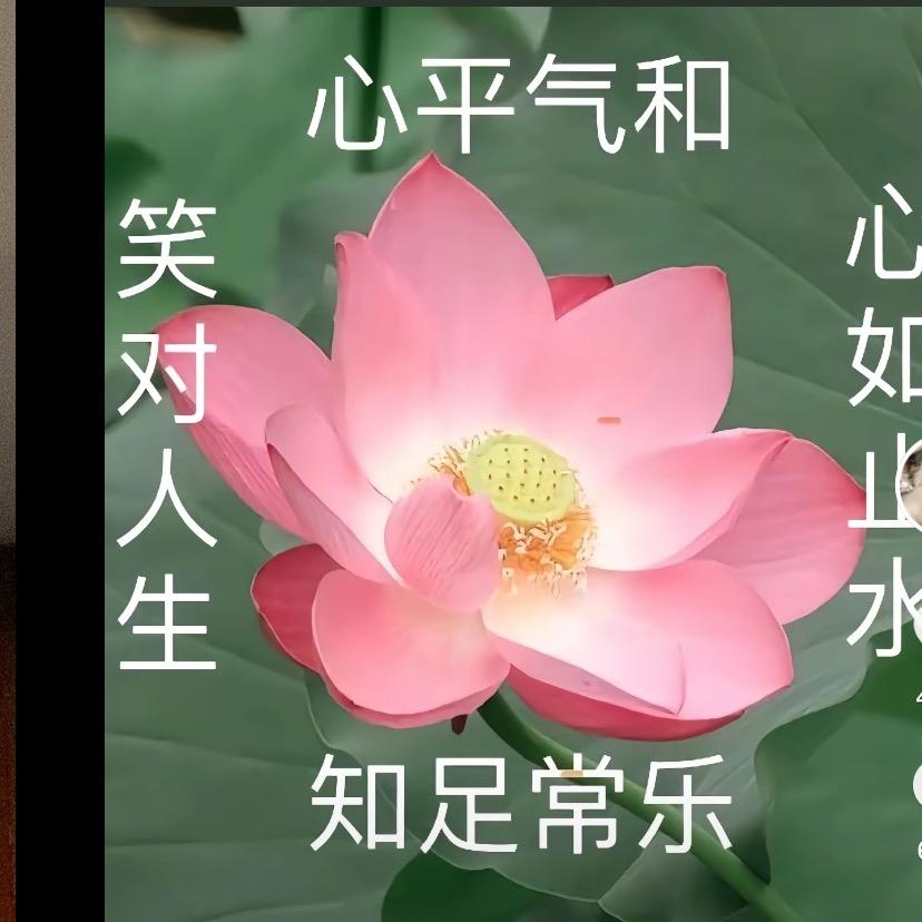 洛施