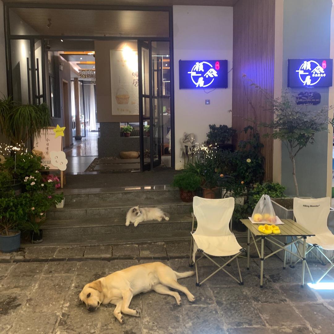 云台山顾居民宿