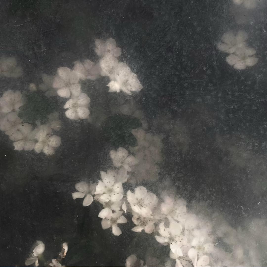 王极