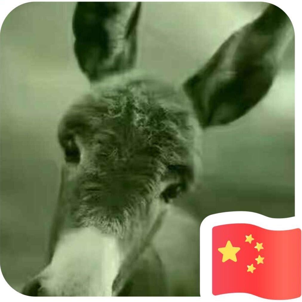 琛诺金属李强