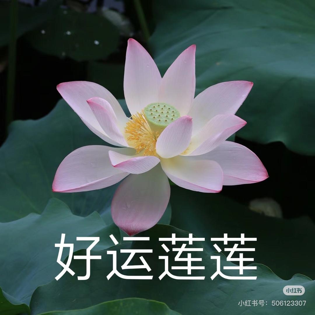 美好世界？、