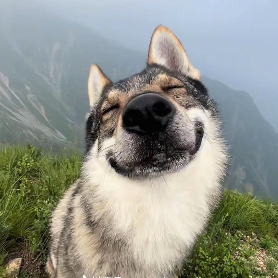 小水