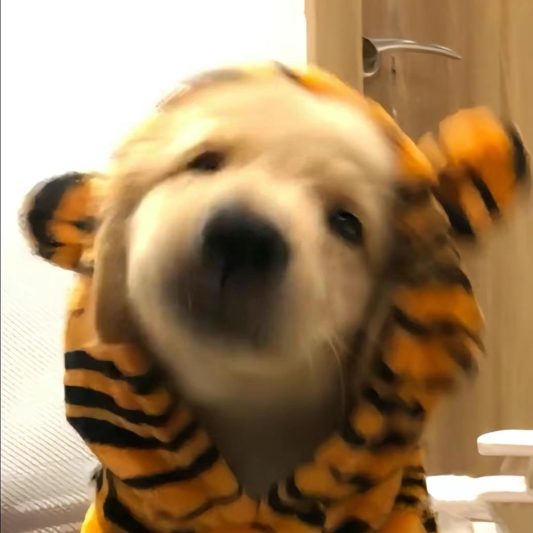 开心脆骨肠