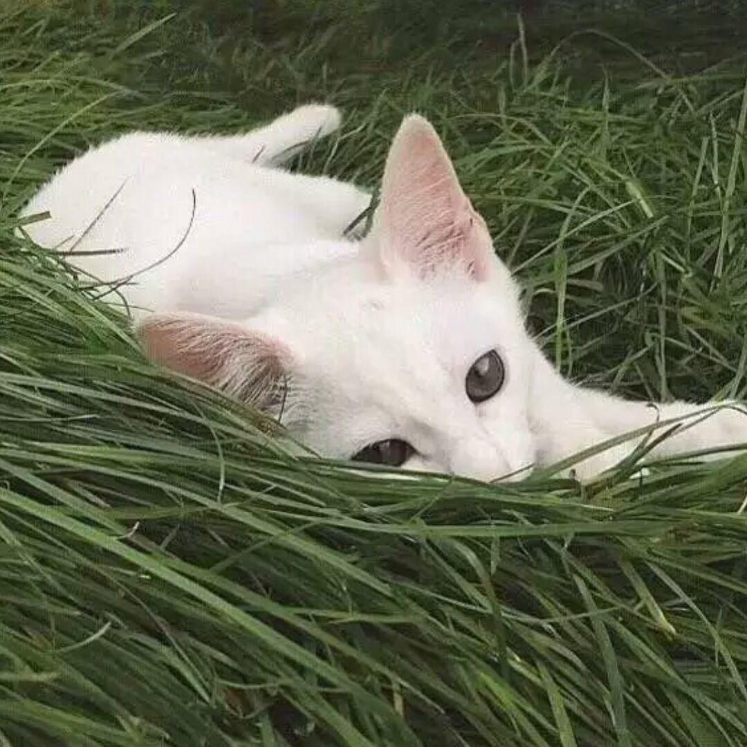 zzzzk