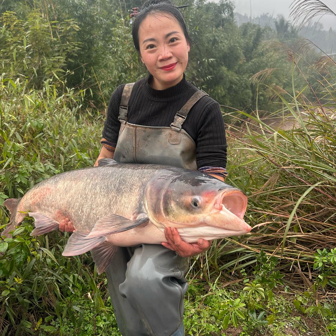 袁欣（户外）