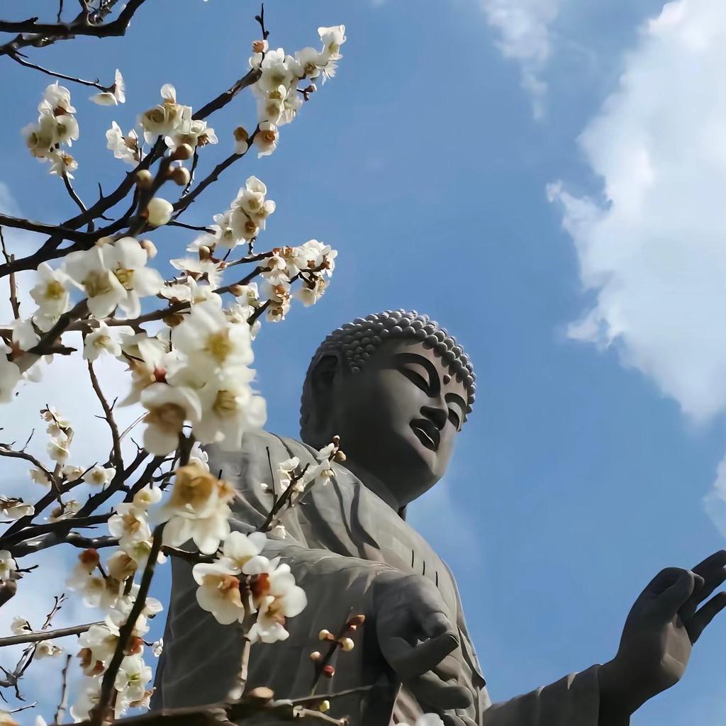 风与路人.