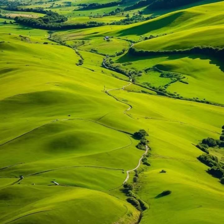 鑫源草业牧草批发