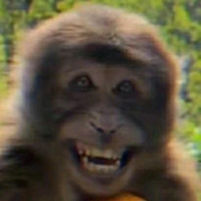 屎壳螂骑老奶奶过马路被闯红灯的公蟑螂配了