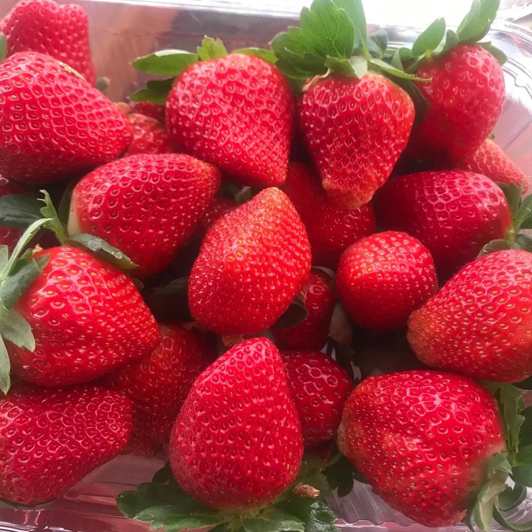 山水草莓园🍓