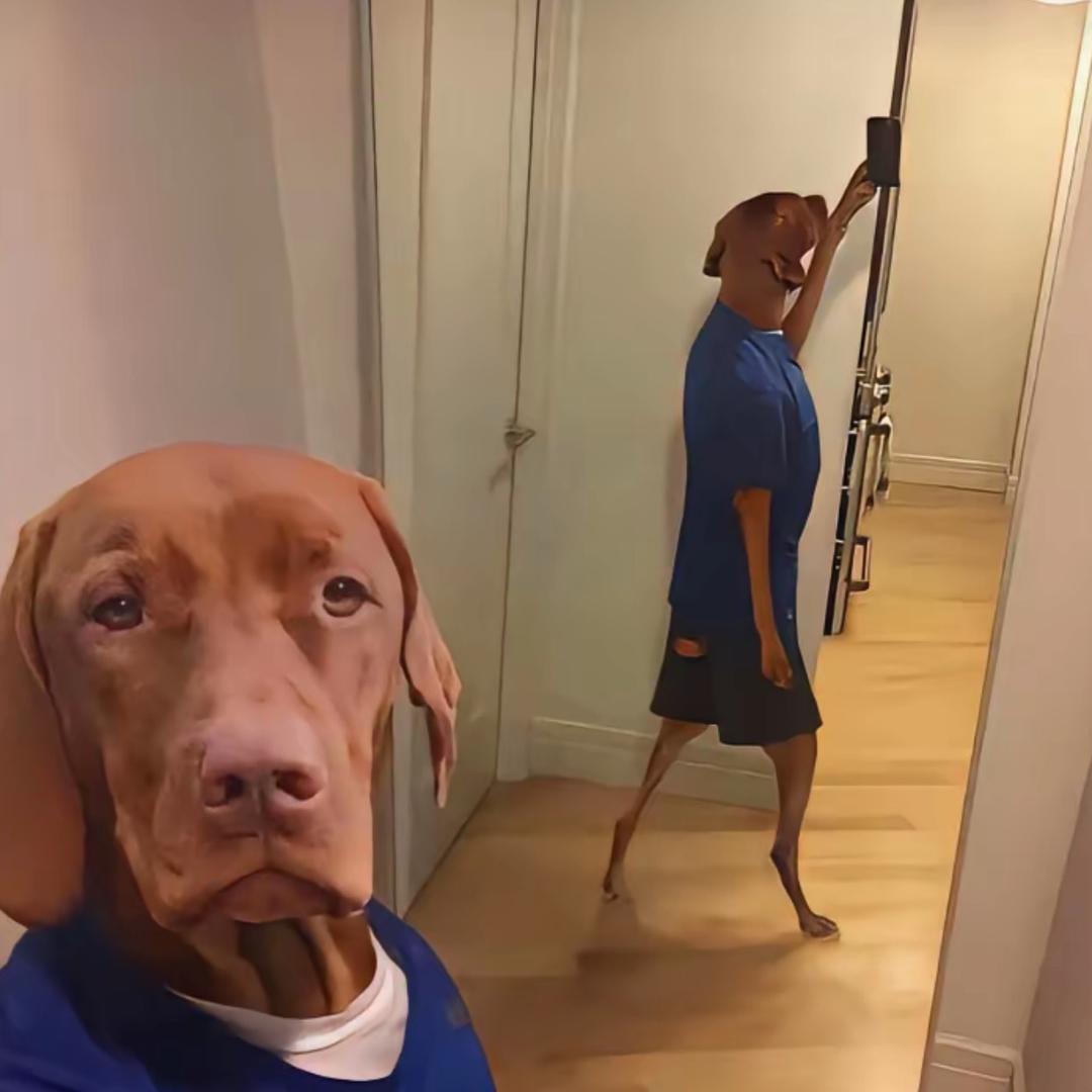 小朱看不清自己