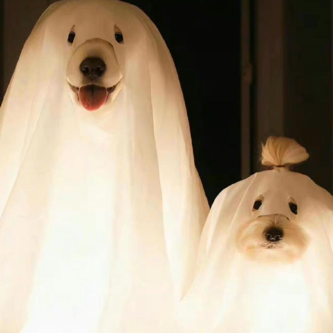 向南飞的竹蜻蜓