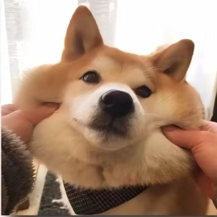 那个男人.