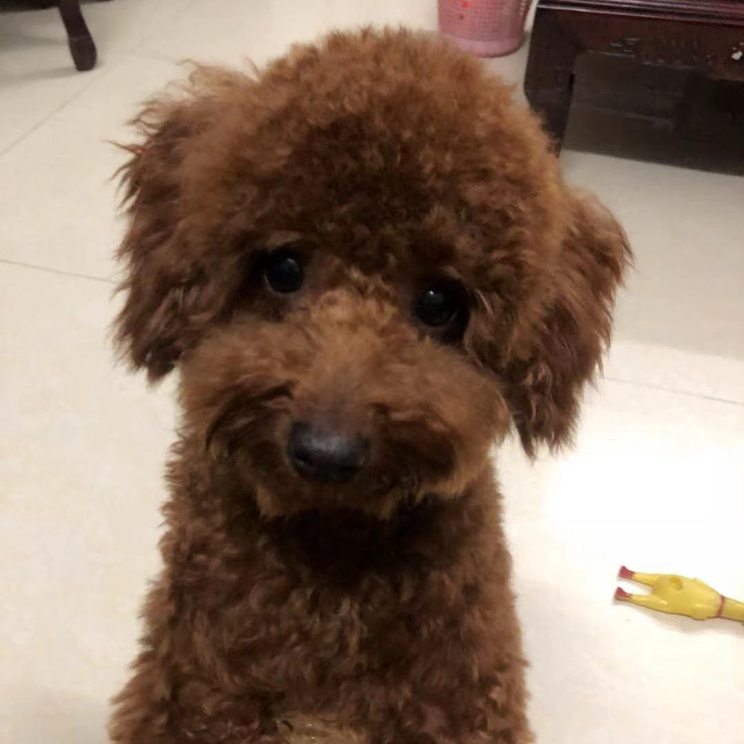 弘毅商贸部