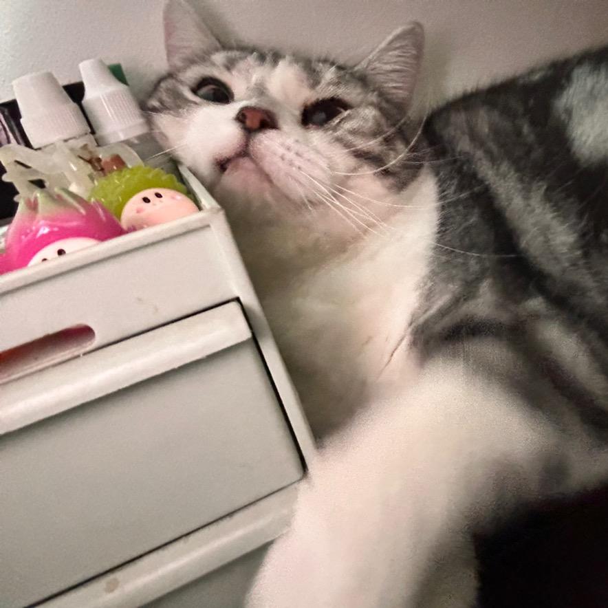 🌈我的世界