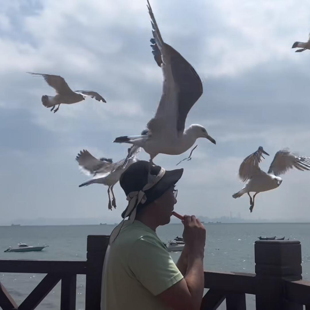 紫运闯地球