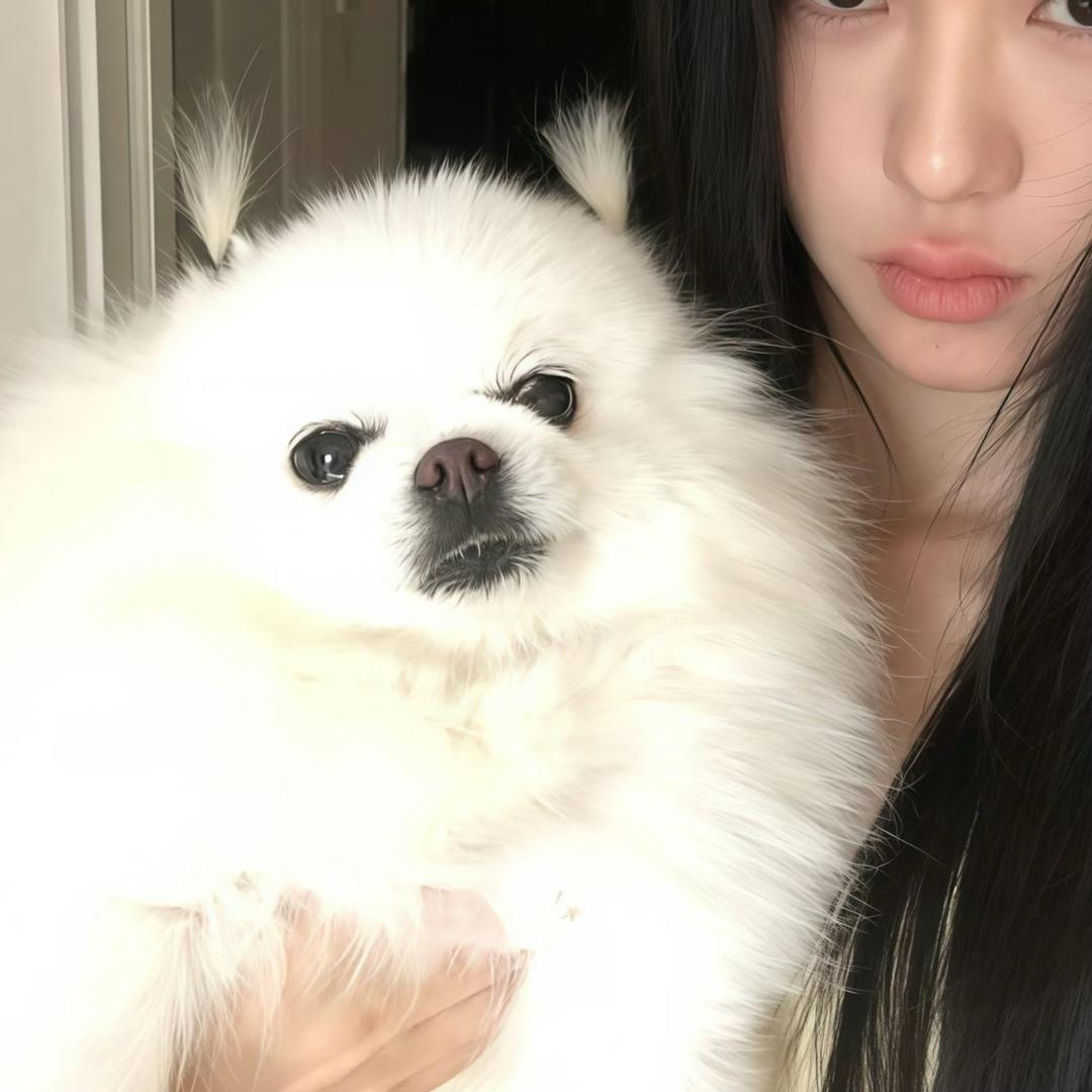 我女朋友超美超可爱