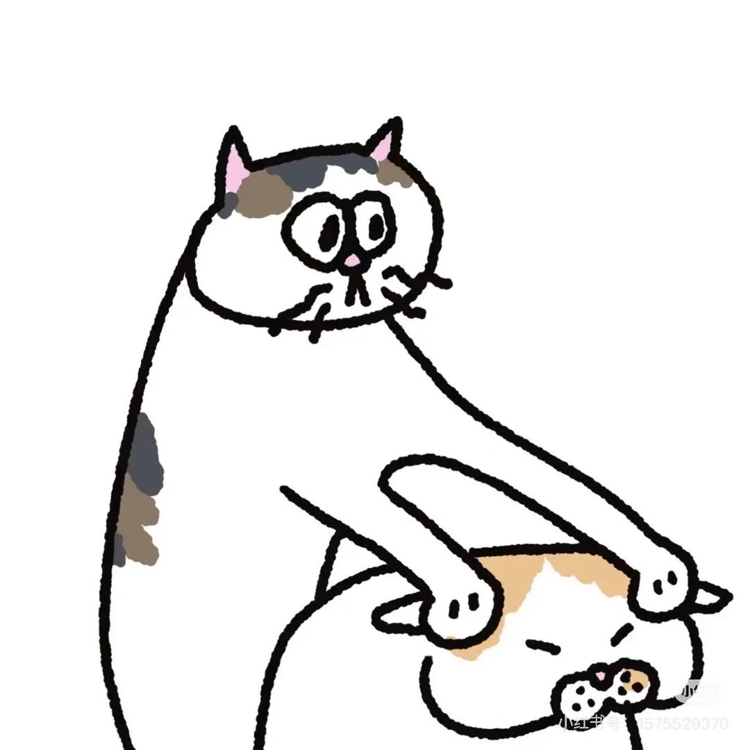 小猫呆呆do