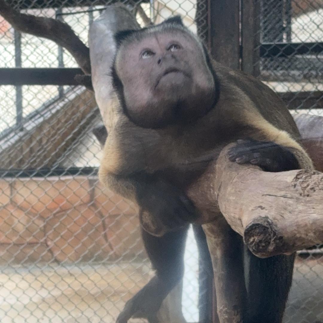 我的世界不能没有你