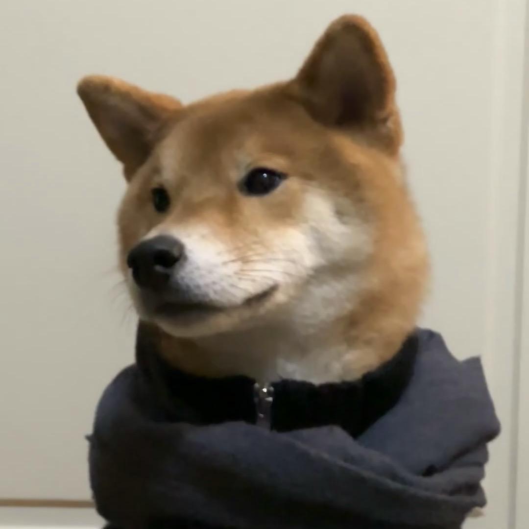 于吁吁.