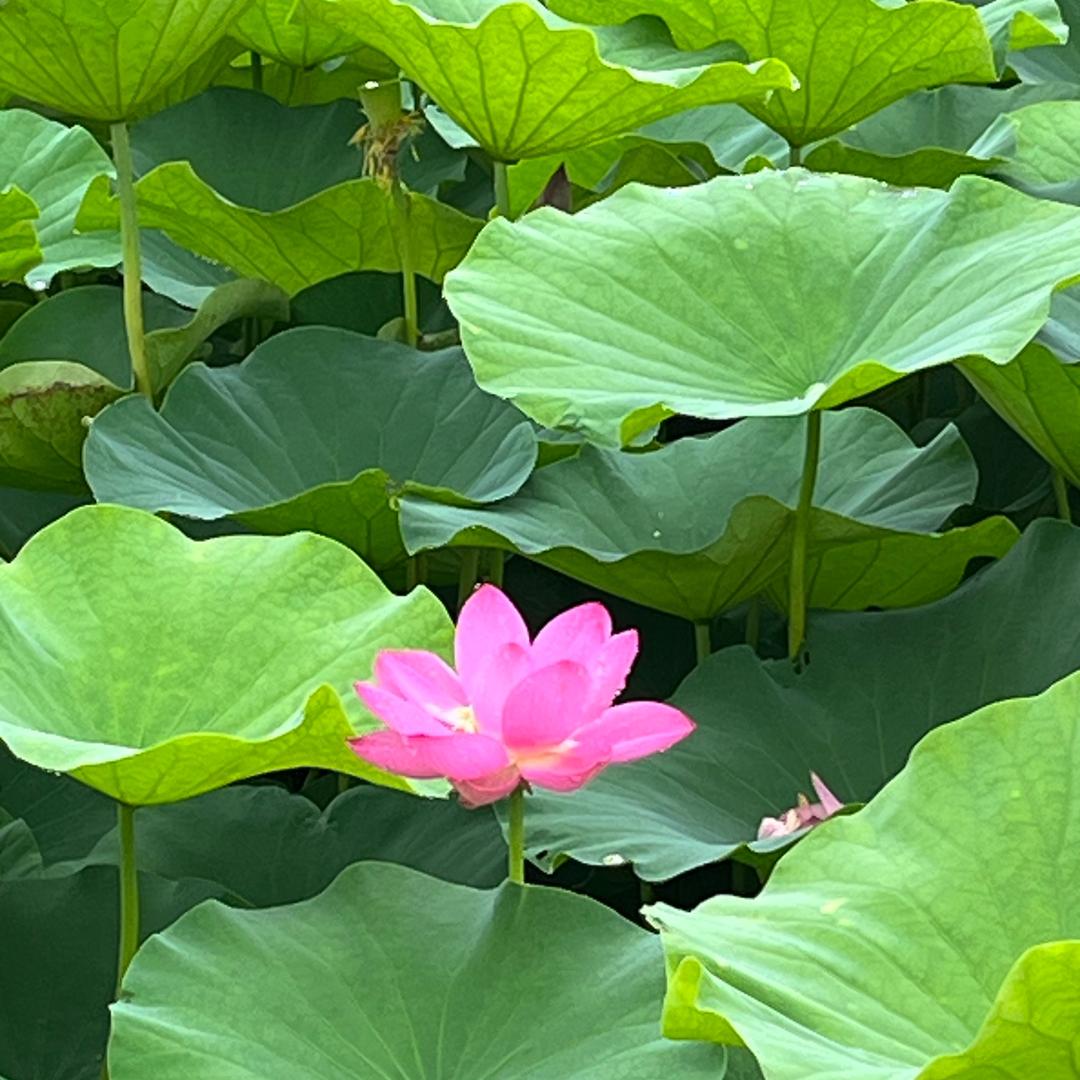 一念一境