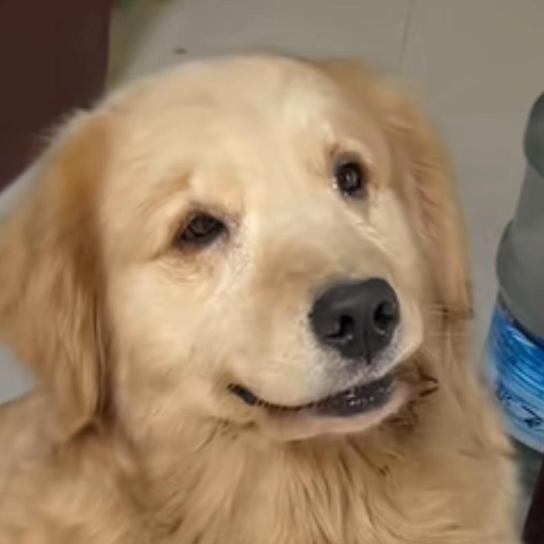 🫤🙃🙃🙃哎嘿