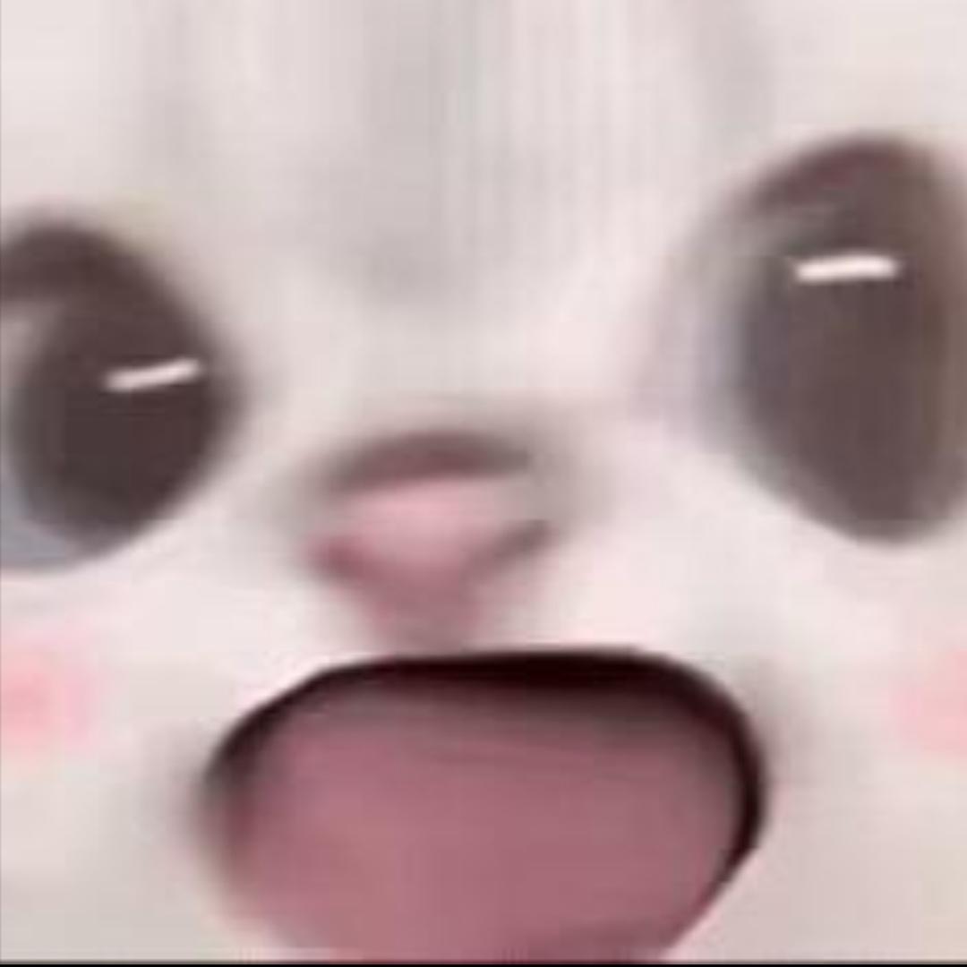 你的恩恩
