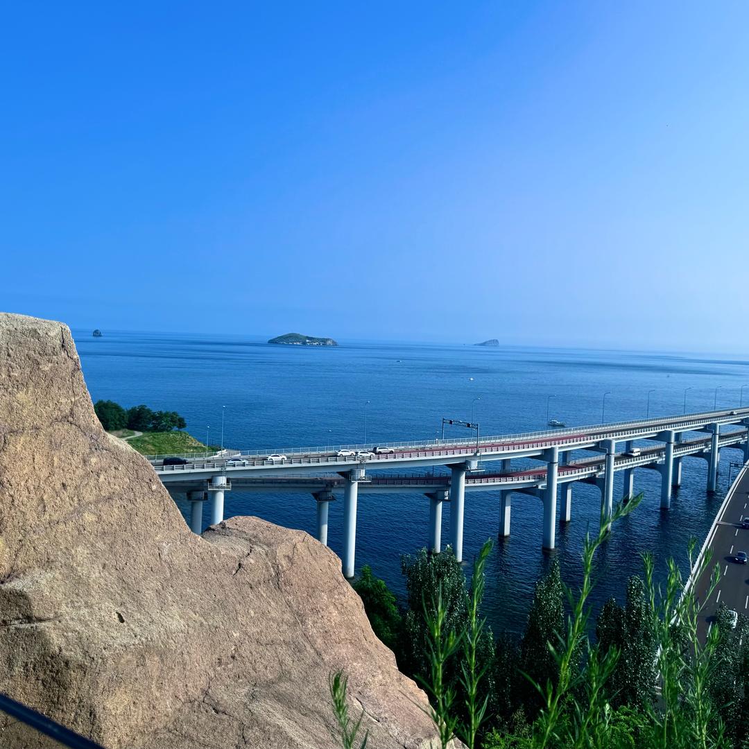 心向