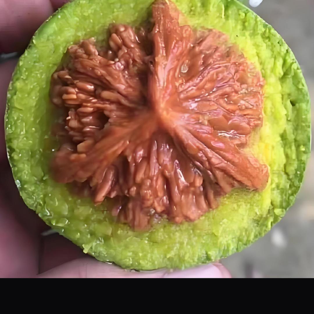 性感饕餮