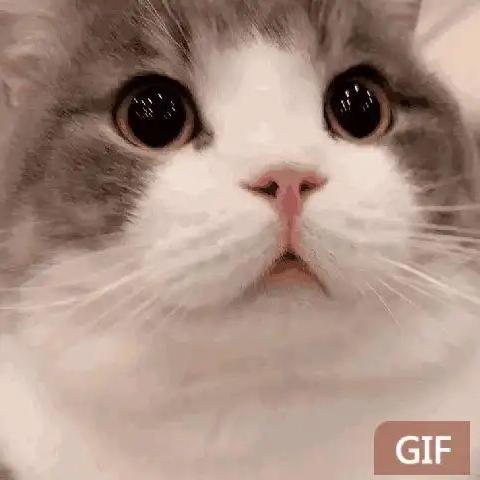 咕噜游戏