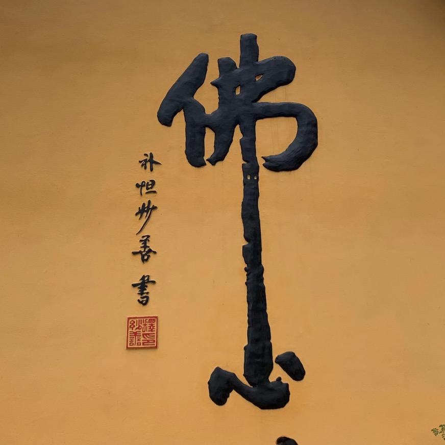 仙人掌🌵