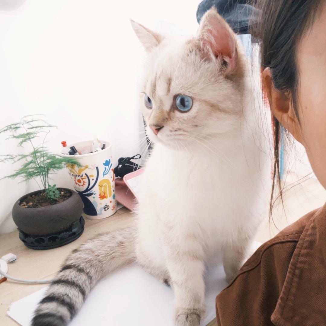 时间里的/
