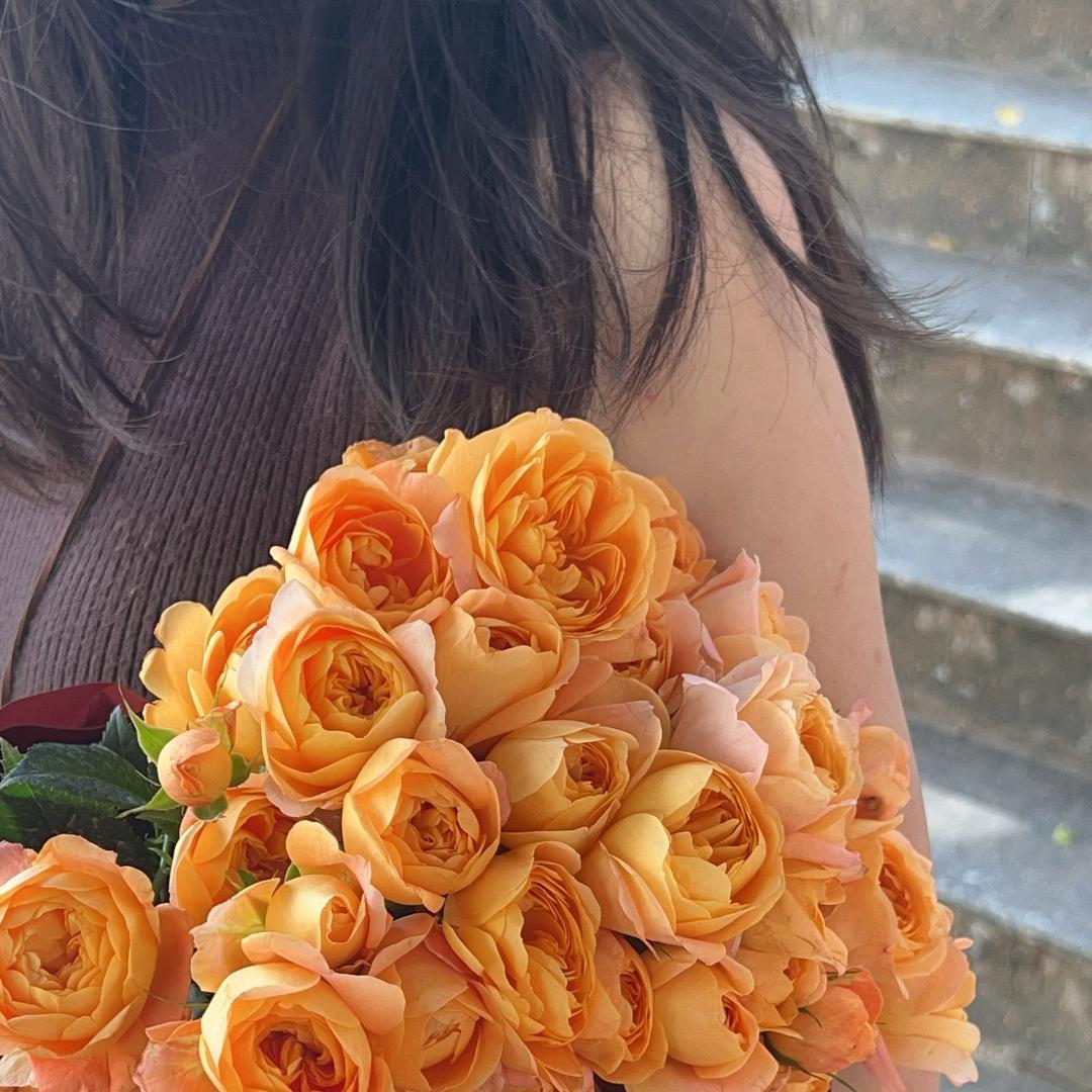 芝士奶酪包🧀️