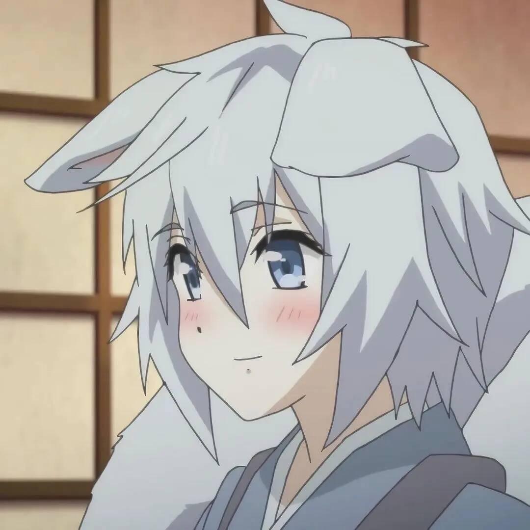 小江聊动漫