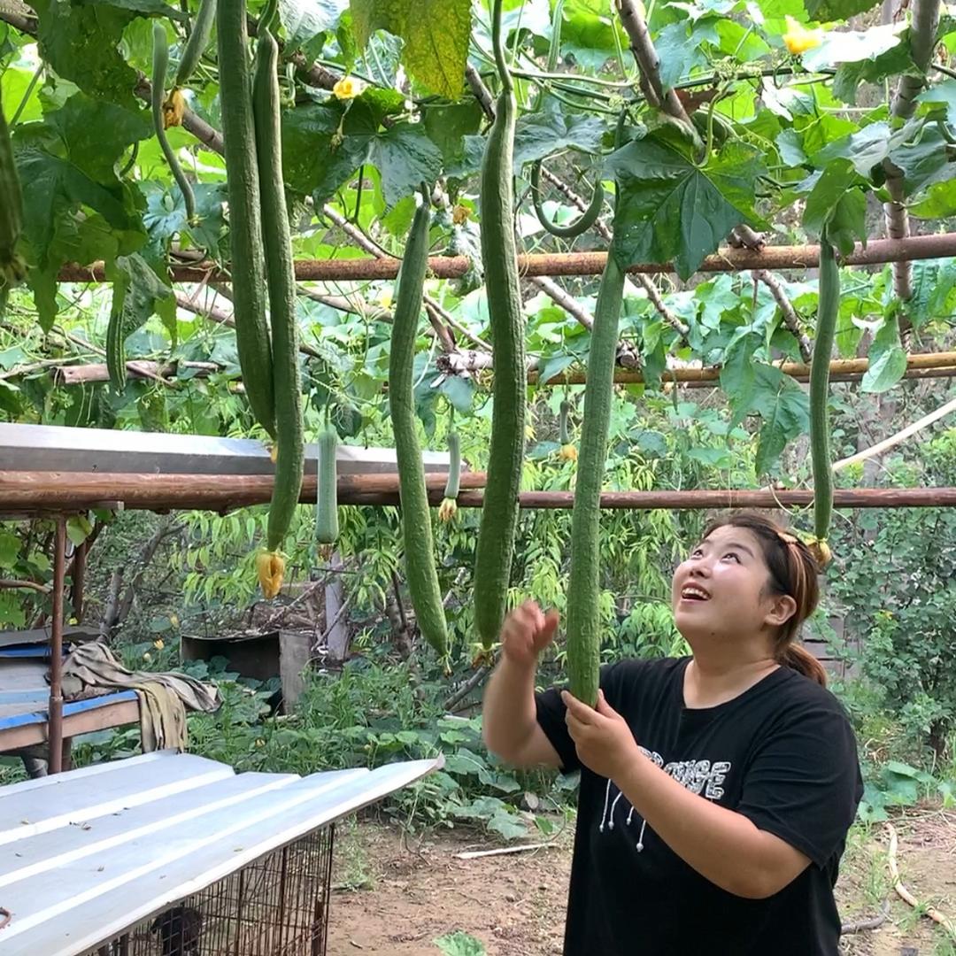 柳姐爱生活(日常)