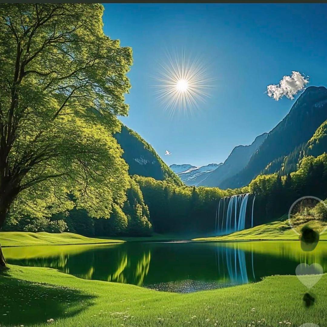 🐘多🔥财多🔥亿🐘