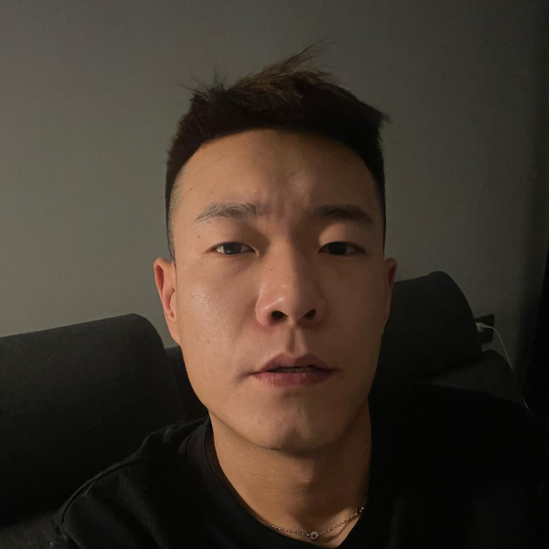 汤姆爱玩猫