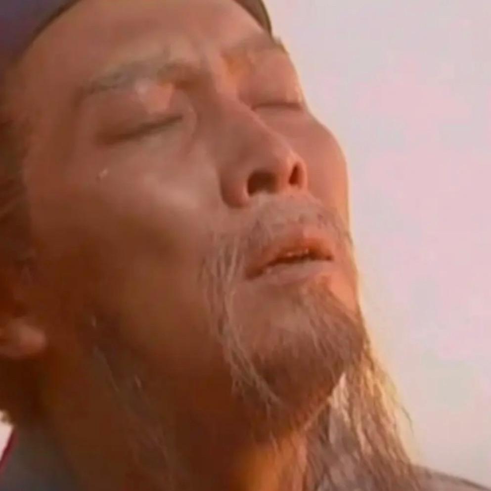 诸葛老匹夫