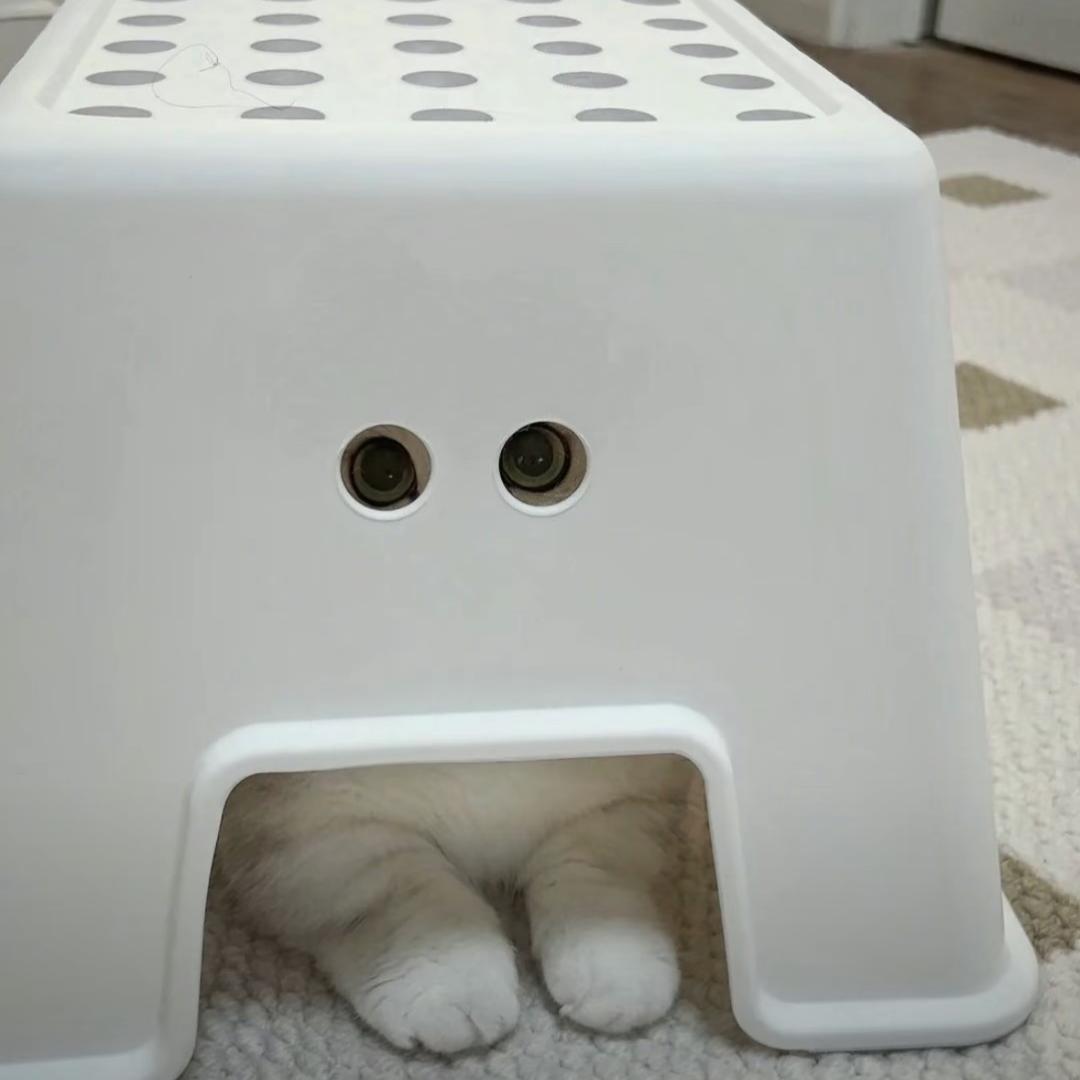 .好饿._