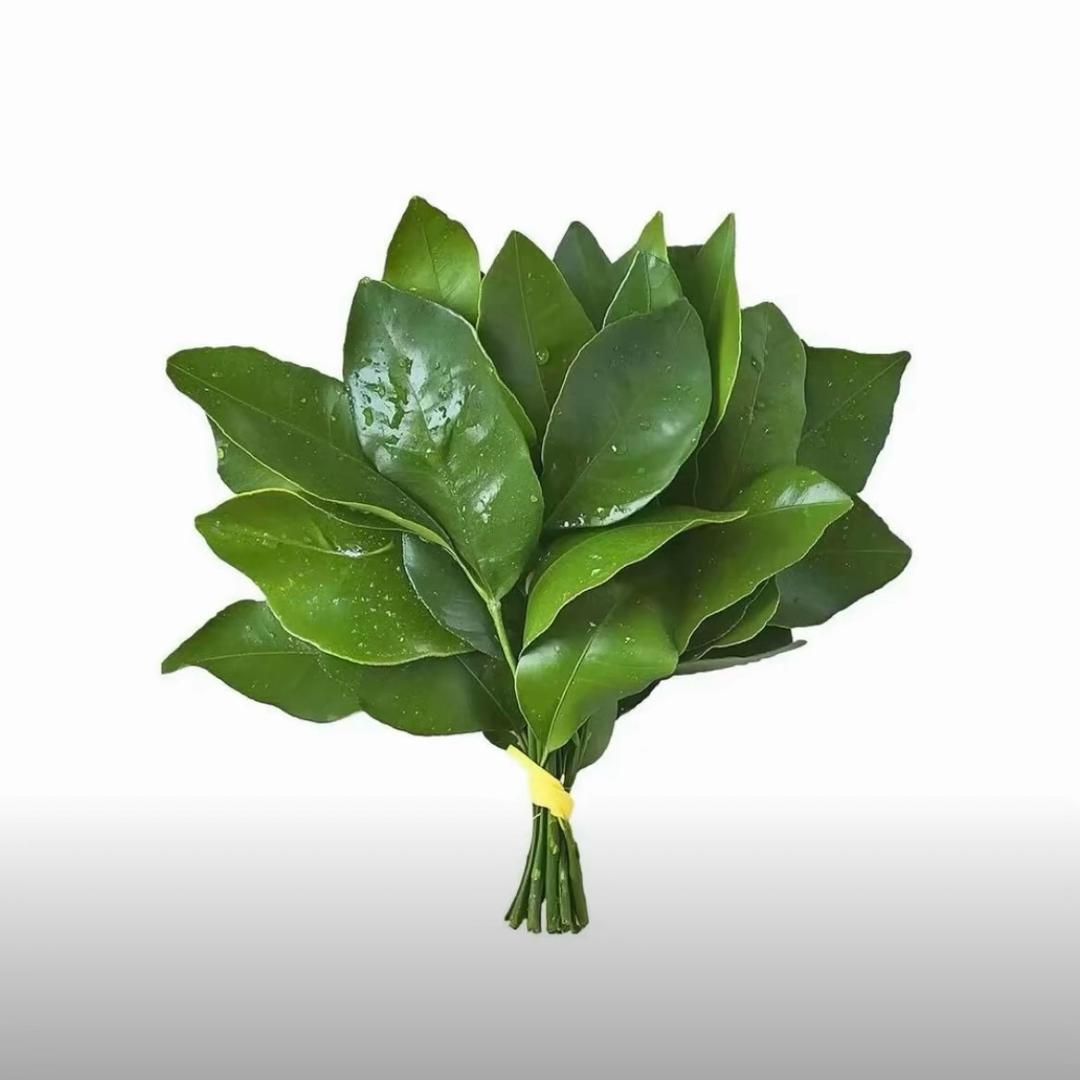 凌凌子
