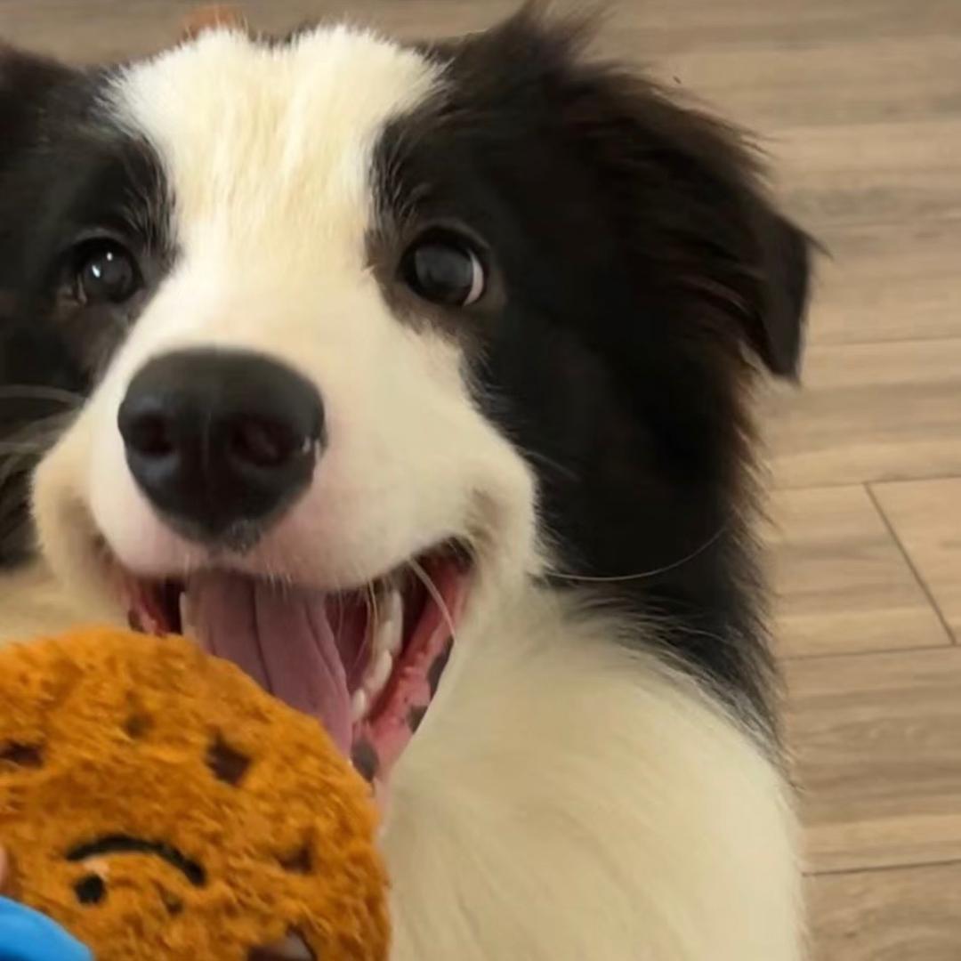 拽帅爆裂酷天大裤衩