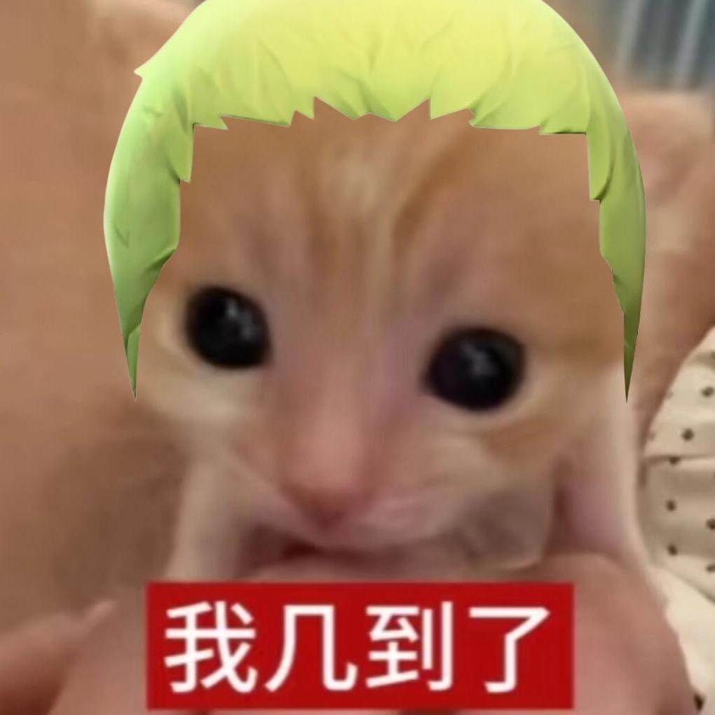 我蠢死过人