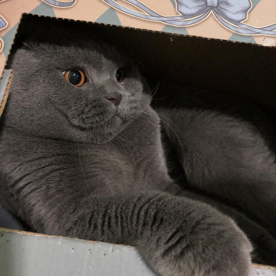 不想了