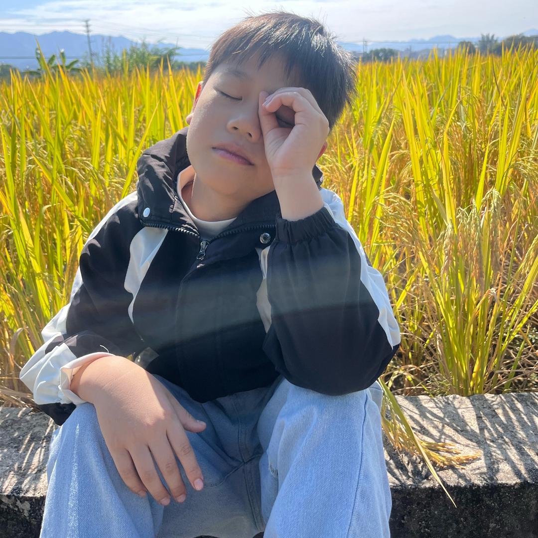 爱吃饭的×🐟