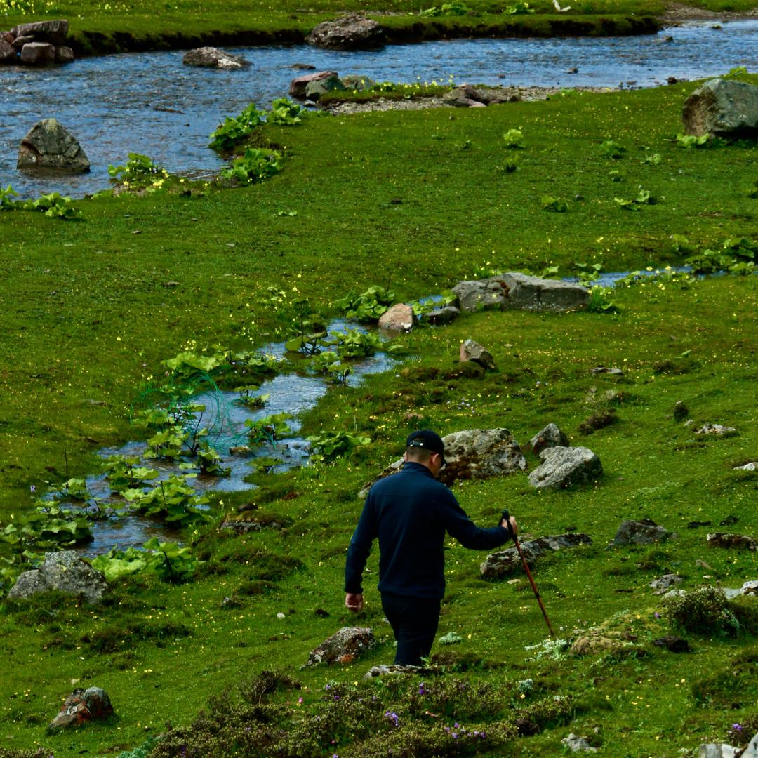 一岁一礼，寸寸欢喜